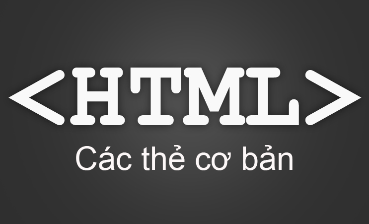 Bố cục HTML chuẩn của một Website
